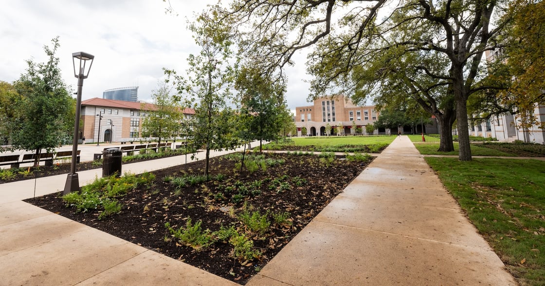 Well-Being Tip of the Month