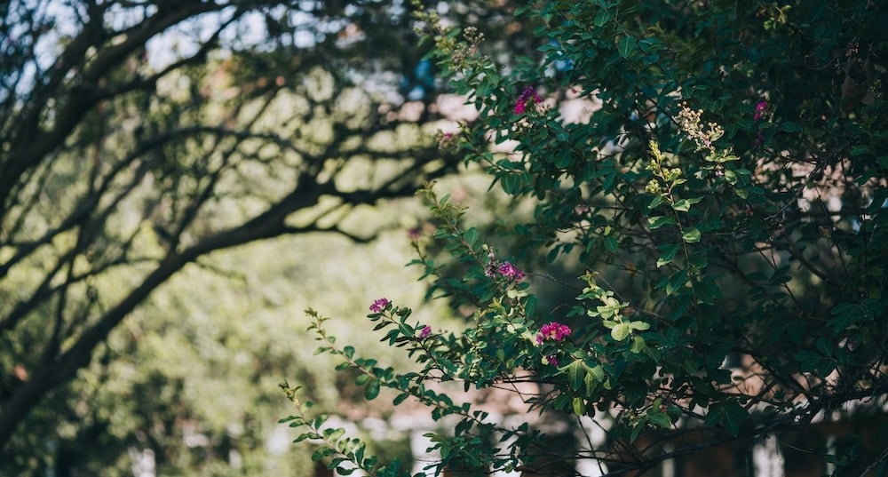 August National Wellness Month-hubspot