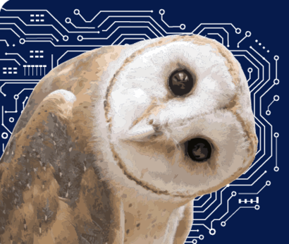 A decorative image of an owl on a digital background